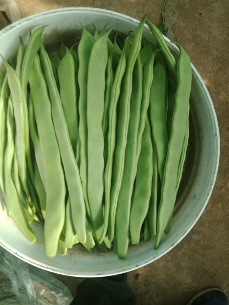 产地新鲜芸豆宽扁豆高品质青扁豆蔬菜扁豆角刀豆基地直发