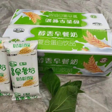 甜牛牛醇香早餐奶高钙核桃奶250mlX16包
