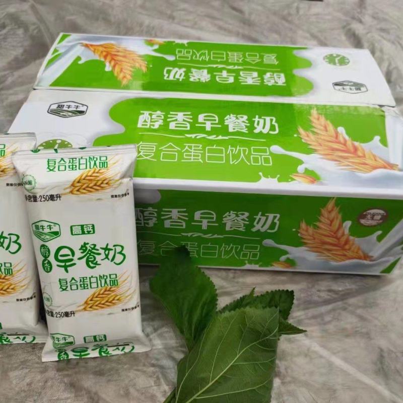 甜牛牛醇香早餐奶高钙核桃奶250mlX16包