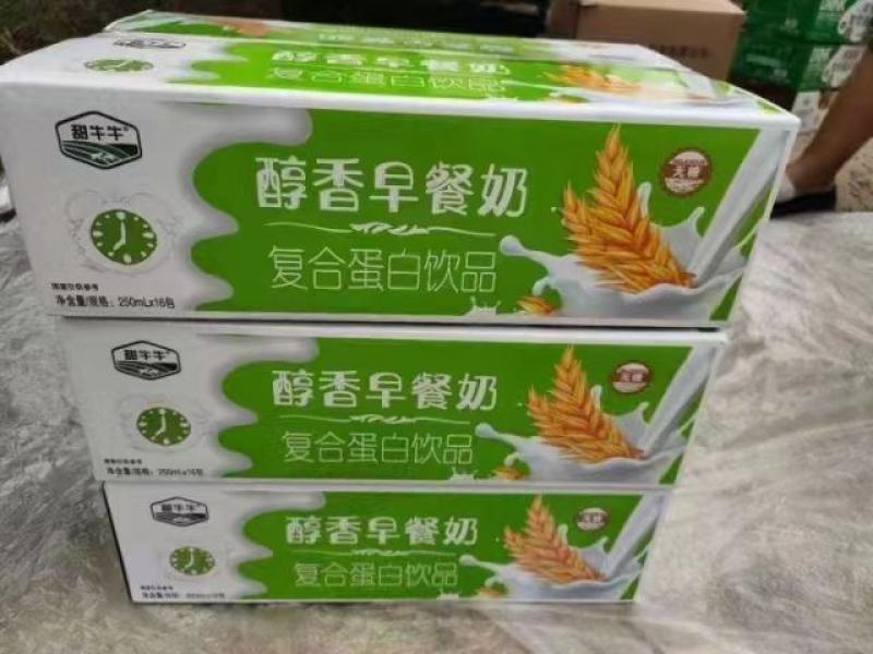 甜牛牛醇香早餐奶高钙核桃奶250mlX16包