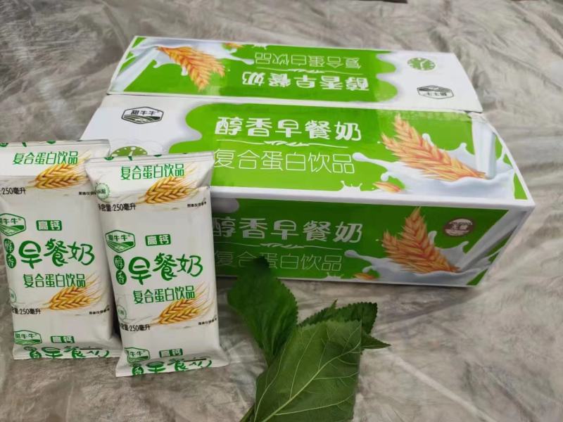 甜牛牛醇香早餐奶高钙核桃奶250mlX16包