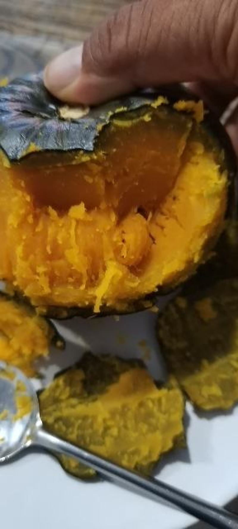 全年供应贝贝南瓜