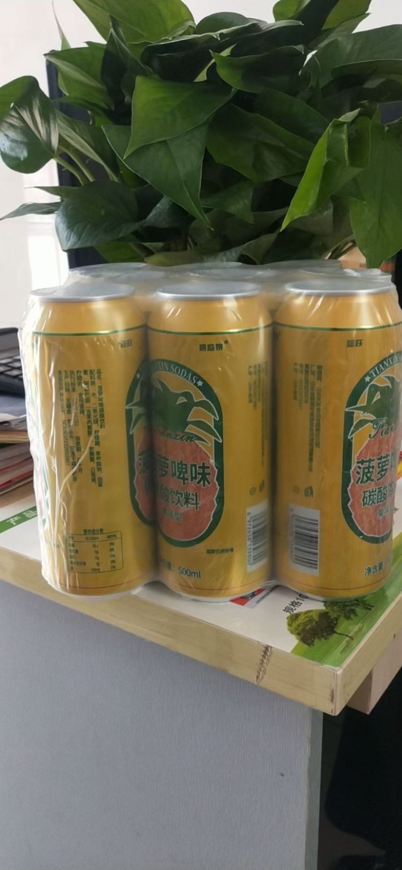 蓝跃菠萝啤果味型碳酸饮料全国各地招商🀄️