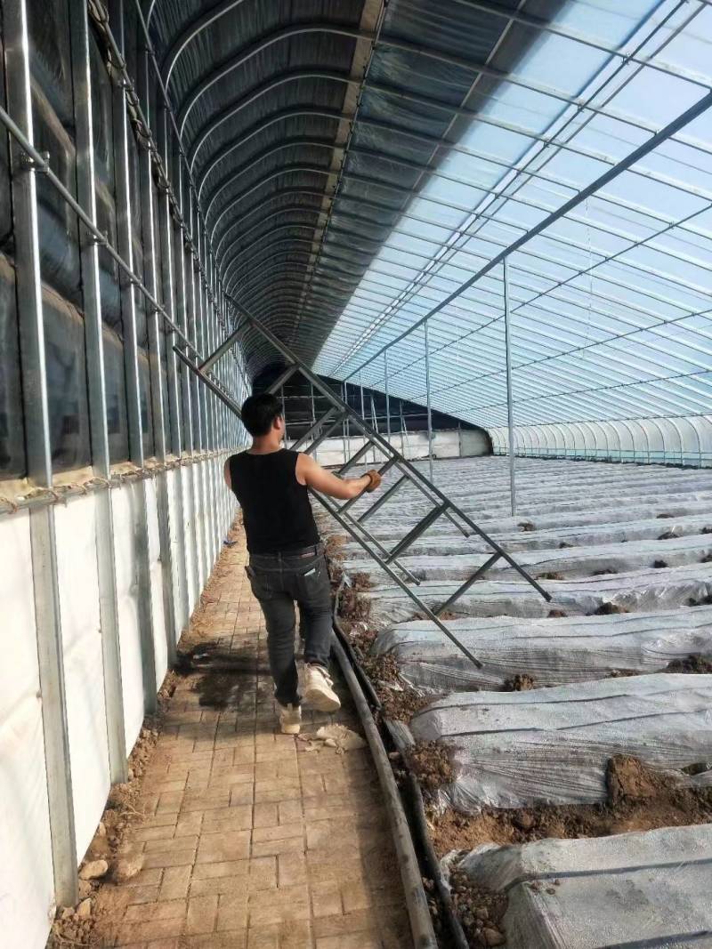 面包棚棉被，防雨防晒防火抗老化，使用寿命20年左右！！！