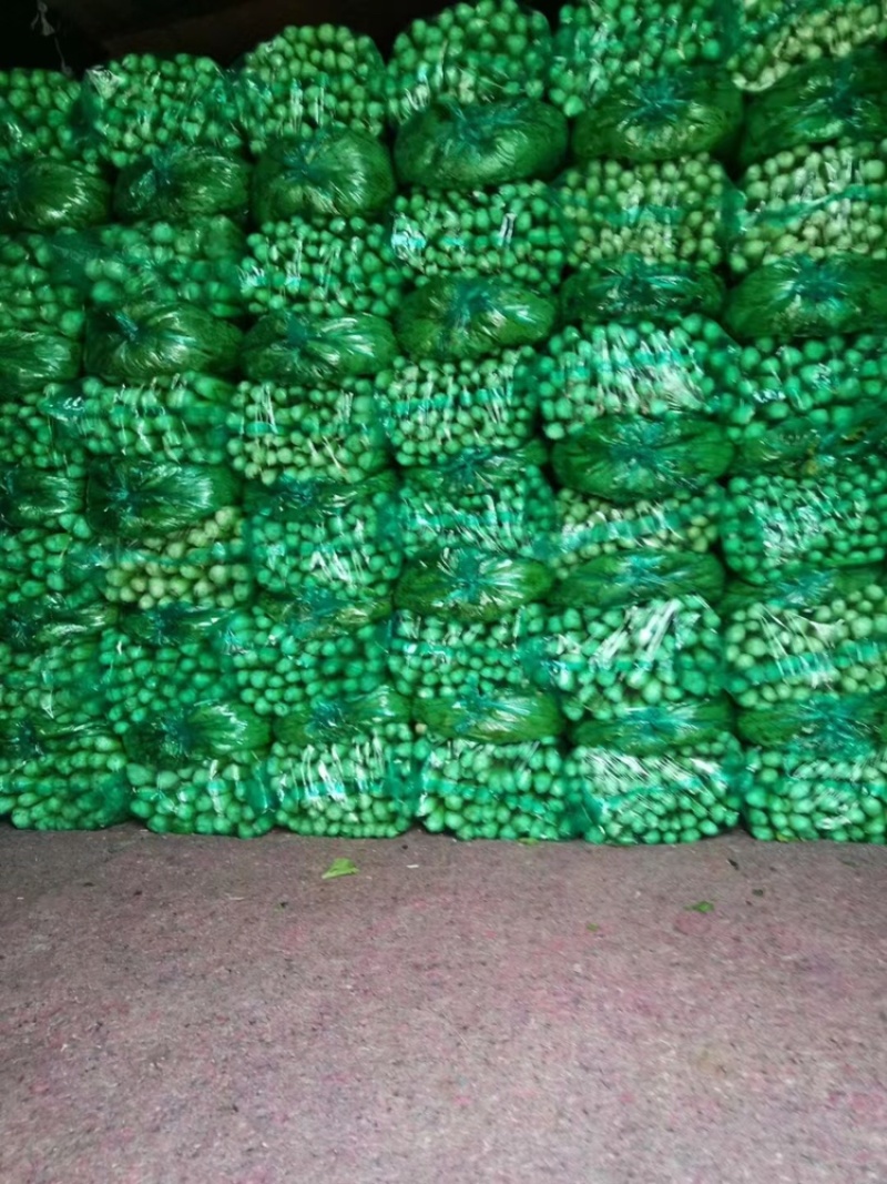 商河芹菜种植基地直供，一首货源，可全国发货