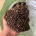 （热销）育苗基质，栽培基质，果蔬通用有机营养土