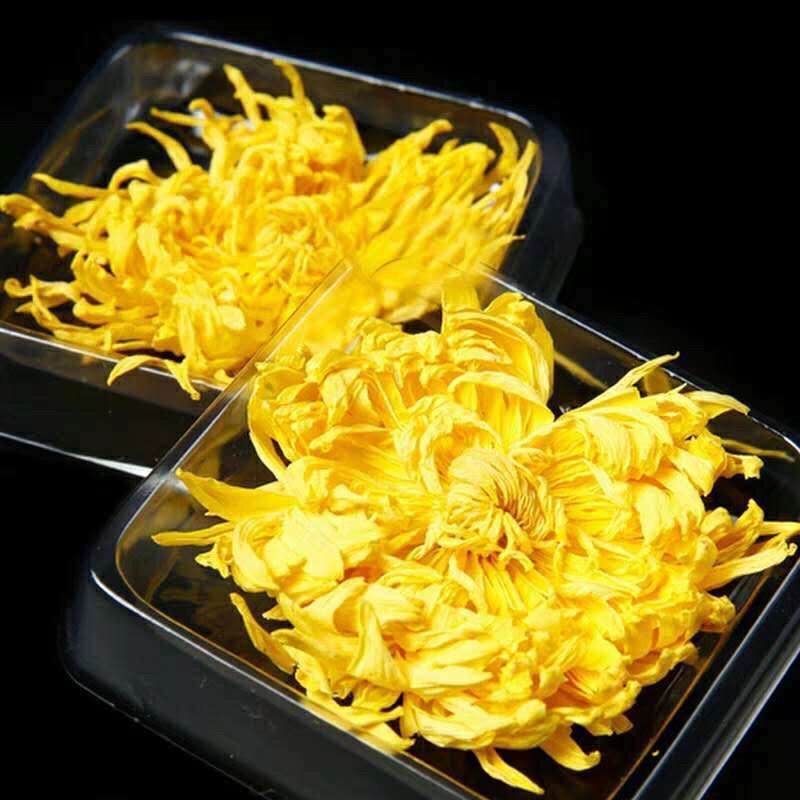 【金丝皇菊】金丝皇菊一朵一杯菊花茶基地直发欢迎采购