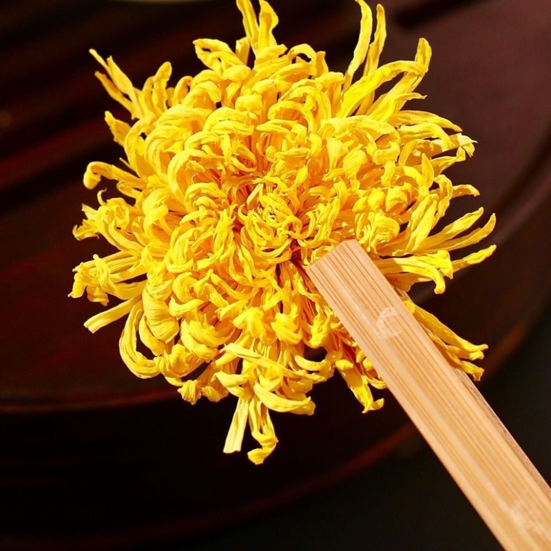 【金丝皇菊】金丝皇菊一朵一杯菊花茶基地直发欢迎采购