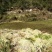 佳荣镇水苔藓种植示范基地
