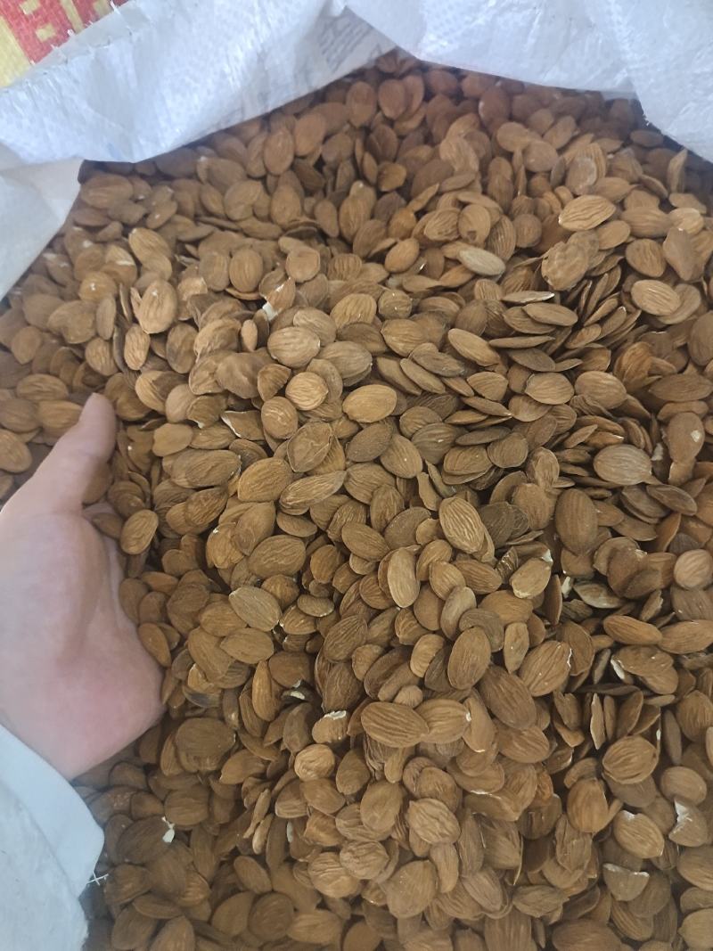 桃仁扁桃仁家桃仁山桃仁炒桃仁去皮桃仁地道中药