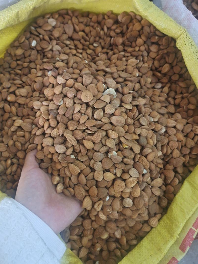 桃仁扁桃仁家桃仁山桃仁炒桃仁去皮桃仁地道中药