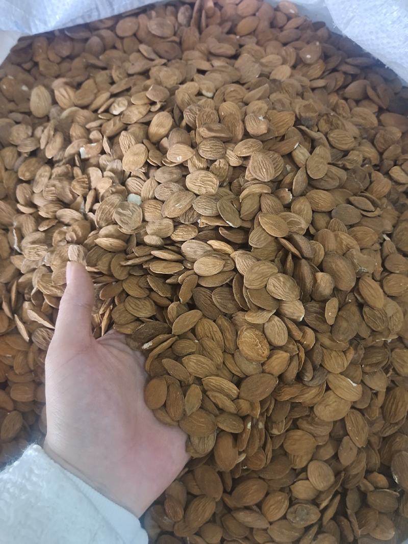 桃仁扁桃仁家桃仁山桃仁炒桃仁去皮桃仁地道中药