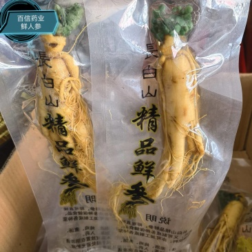 鲜人参个头大颜色好看专用泡酒鲜人参物美价廉