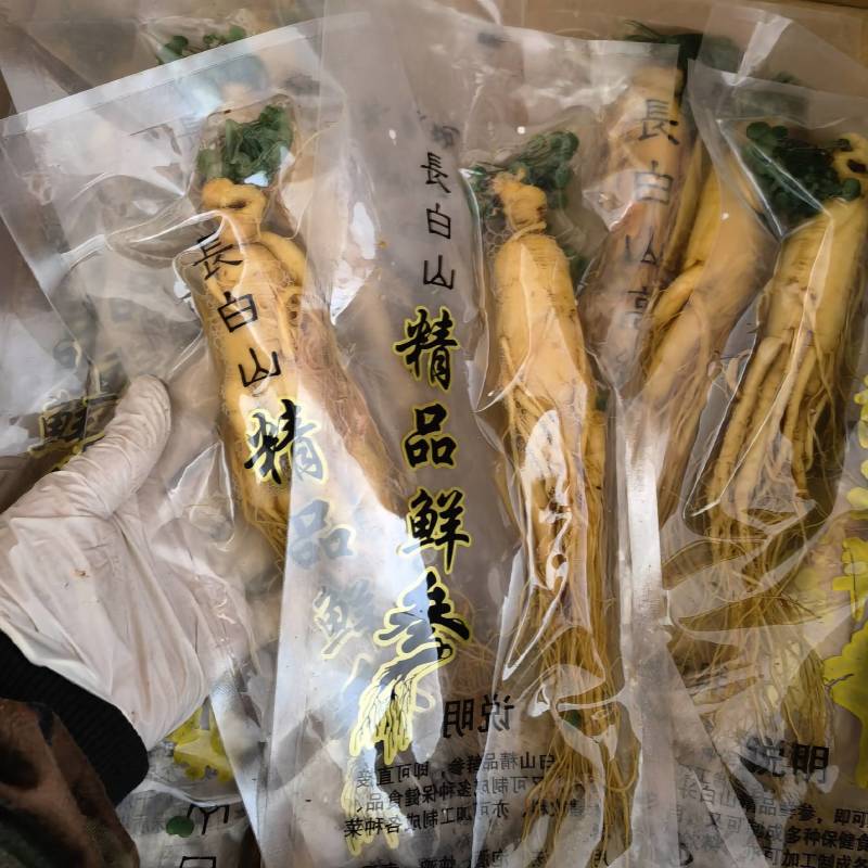 鲜人参个头大颜色好看专用泡酒鲜人参物美价廉