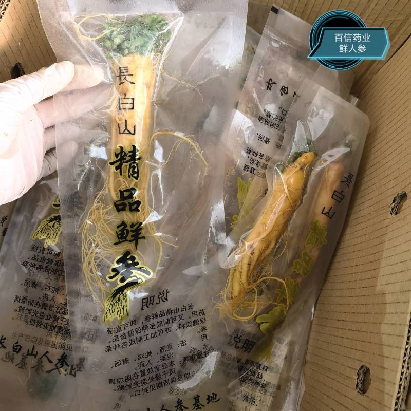 鲜人参个头大颜色好看专用泡酒鲜人参物美价廉