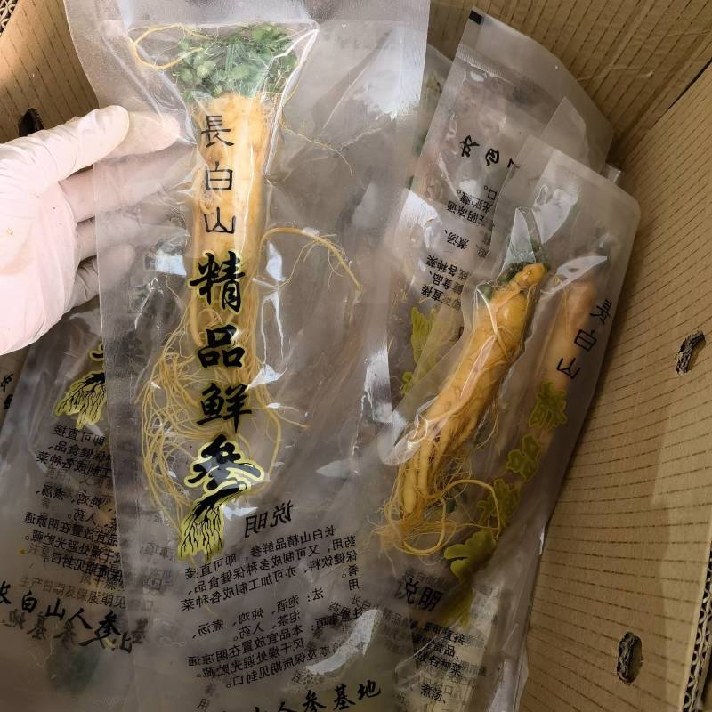 鲜人参个头大颜色好看专用泡酒鲜人参物美价廉