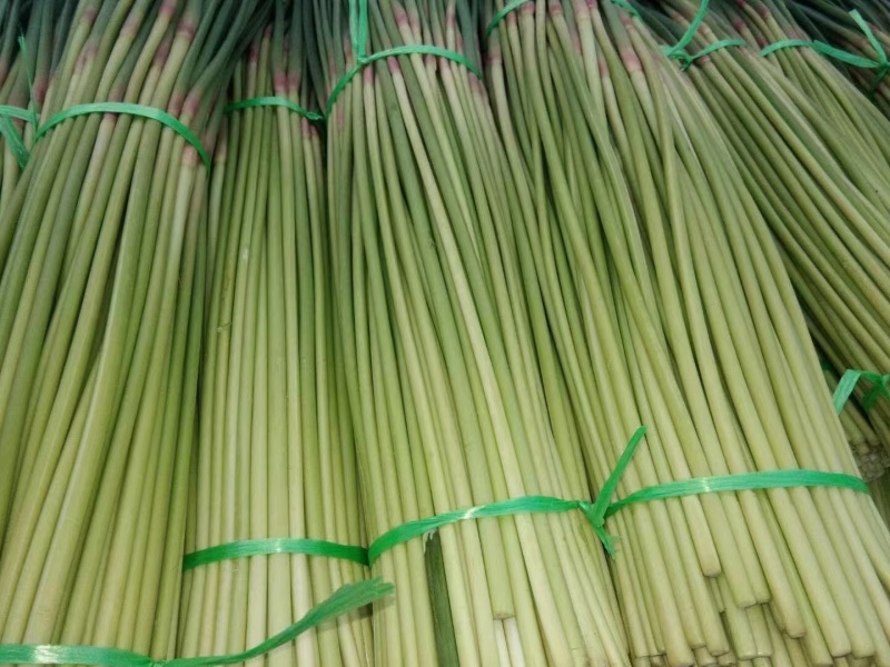 精品红帽蒜苔全国市场发货产地直销可视频实地考察看货
