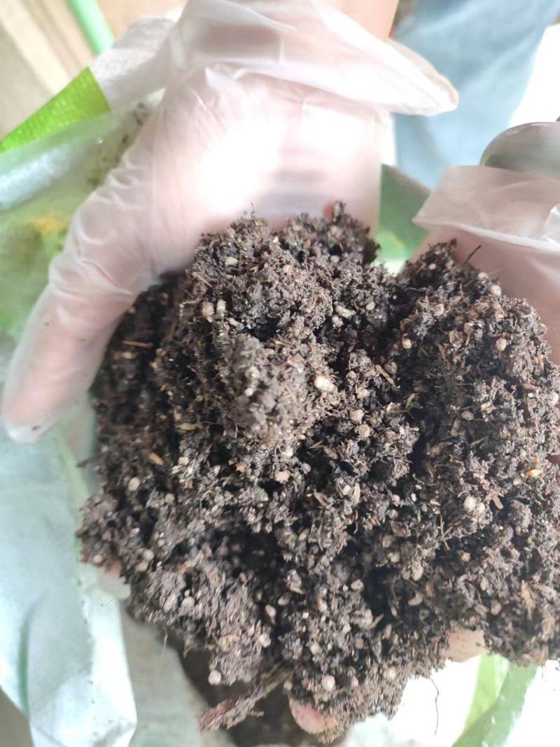 （热销）育苗基质，栽培基质，果蔬通用有机营养土