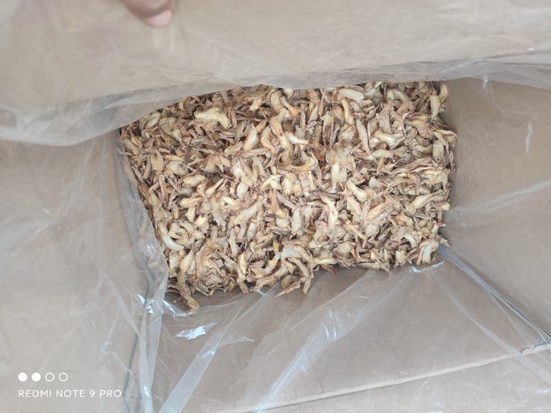 [全干天麻粉打粉料]天麻黄斤粉天麻坏片质量好价格低
