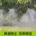 雾化喷淋喷头自动喷雾器浇水浇花神器家用农用洒水降温懒人系
