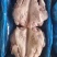 母猪无耳头