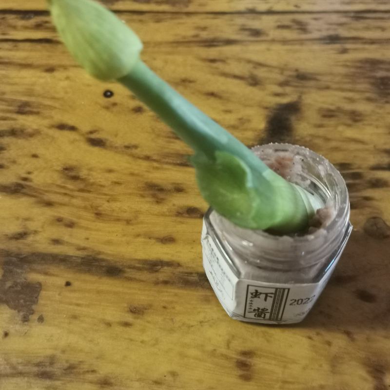 虾酱山东沾化产地直发相对低盐虾酱渤海虾皮传统工艺制作