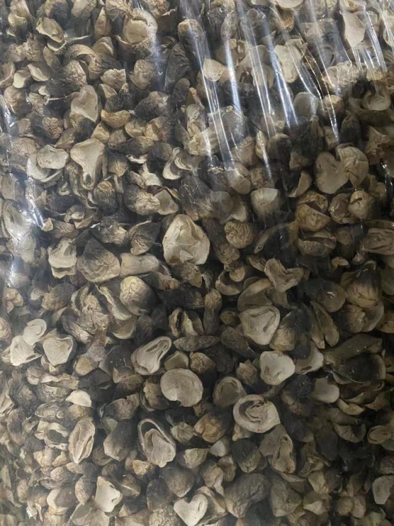 江苏干草菇