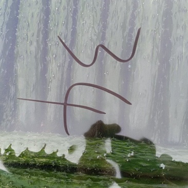 黄瓜