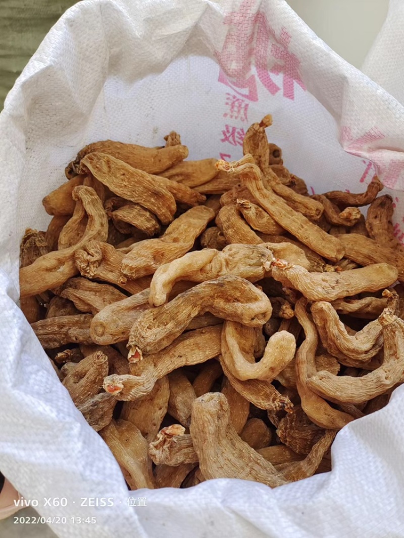 秦岭山脉仿野生天麻干货切片整条统麻