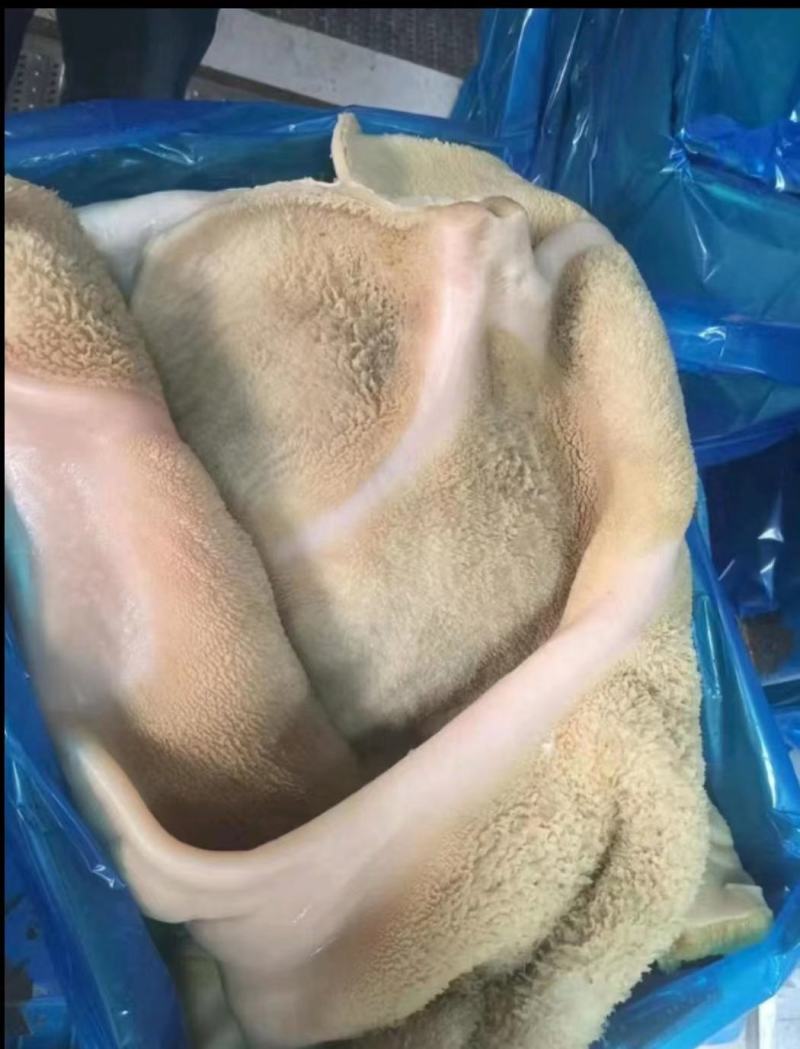 熟牛肚，国产原味儿熟牛肚，工厂直销！手续齐全，一手货源