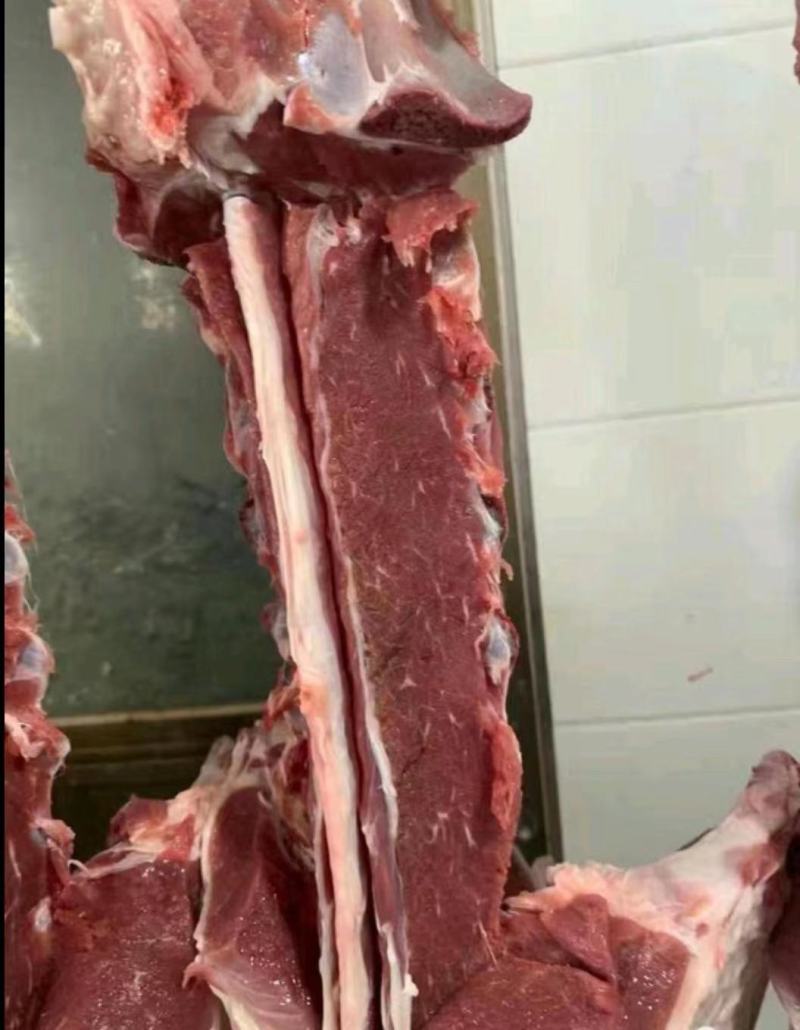 羊蝎子，羔羊满肉，品质新鲜，实图原拍！适合饭店，商超等