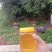纯正广西荔枝花蜂蜜