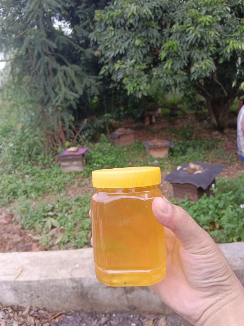 纯正广西荔枝花蜂蜜