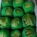 精品圆生菜，产地直发，量大从优，价格八毛，可发全国，