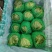 精品圆生菜，产地直发，量大从优，价格八毛，可发全国，