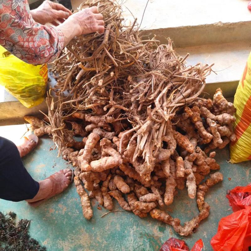 巴马土茯苓，中药材深山自挖，乡下深山采挖，皮薄，白肉