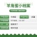 新疆库尔勒羊角蜜2022年已上市，对接渠道，供应，一件代