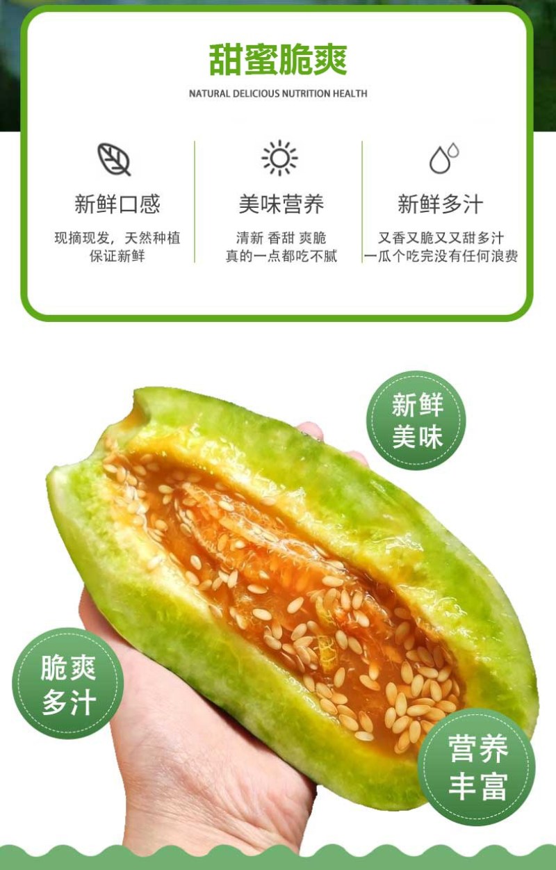 新疆库尔勒羊角蜜2022年已上市，对接渠道，供应，一件代