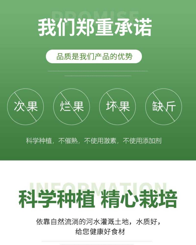 新疆库尔勒羊角蜜2022年已上市，对接渠道，供应，一件代