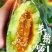 新疆库尔勒羊角蜜2022年已上市，对接渠道，供应，一件代