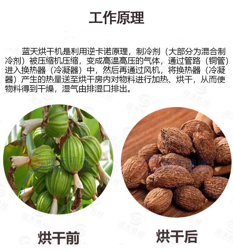 砂仁烘干机电加热小豆蔻春砂仁阳春砂缩沙蜜缩砂蕾干燥设备