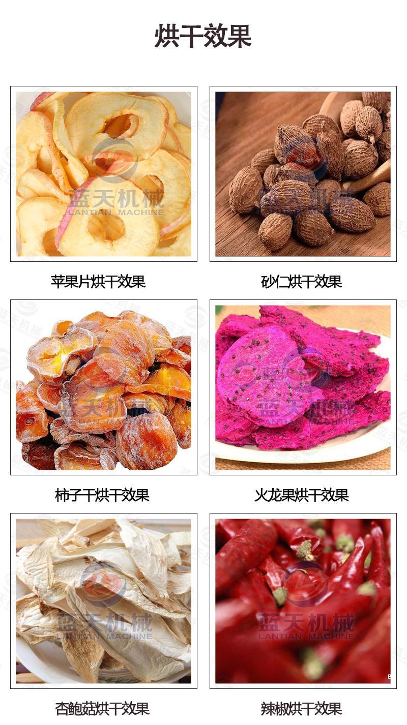 砂仁烘干机电加热小豆蔻春砂仁阳春砂缩沙蜜缩砂蕾干燥设备