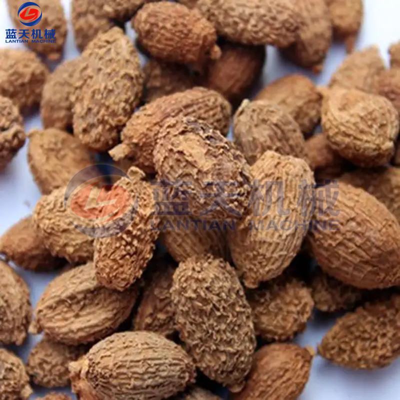 砂仁烘干机电加热小豆蔻春砂仁阳春砂缩沙蜜缩砂蕾干燥设备
