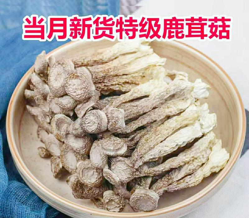 鹿茸菇农家特产鹿茸菇食用菌煲汤鲜香美味（干货包邮）