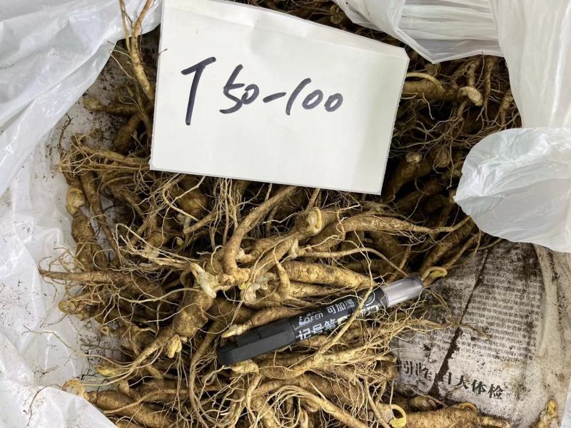 长白山人参，鲜人参顺丰包邮送鹿茸片鹿鞭片，特价活动