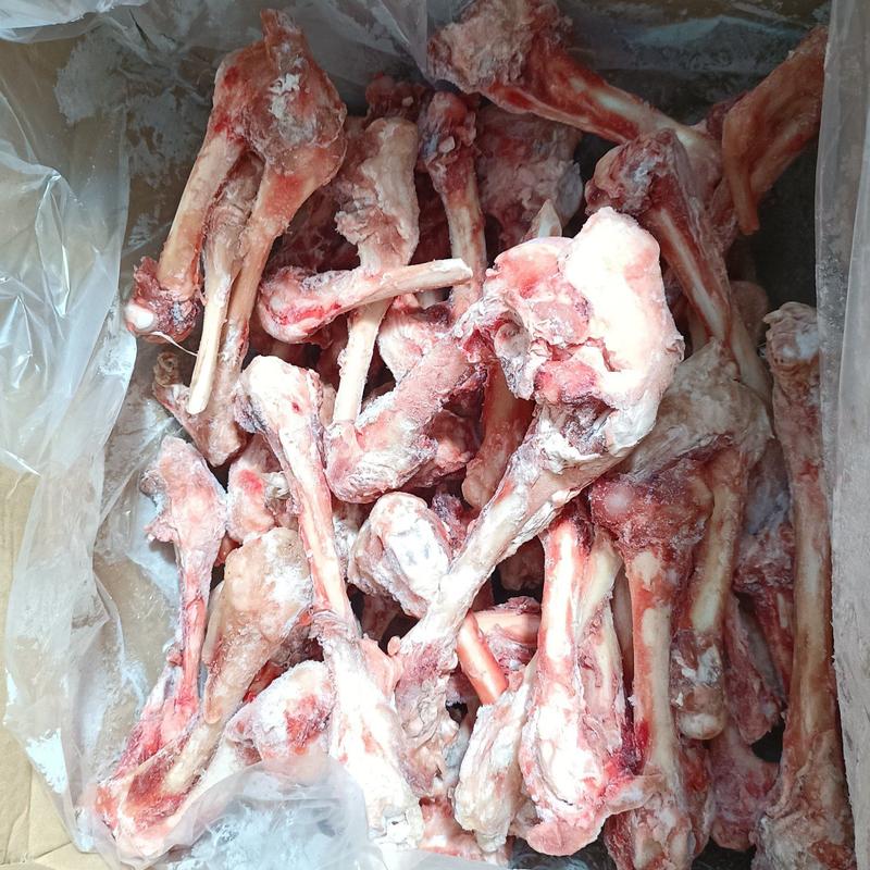 多肉大羊棒骨6元一斤全国发货可发样品