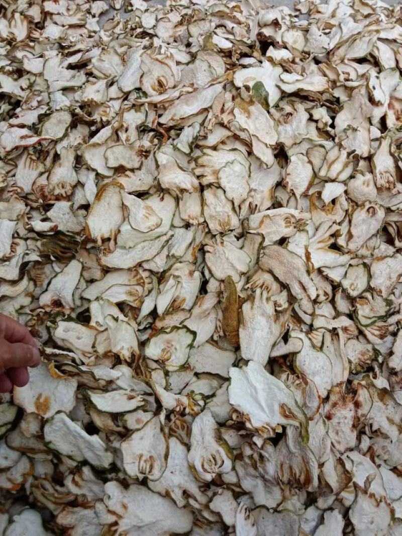 大量出售川佛手干片质量保证一手货源