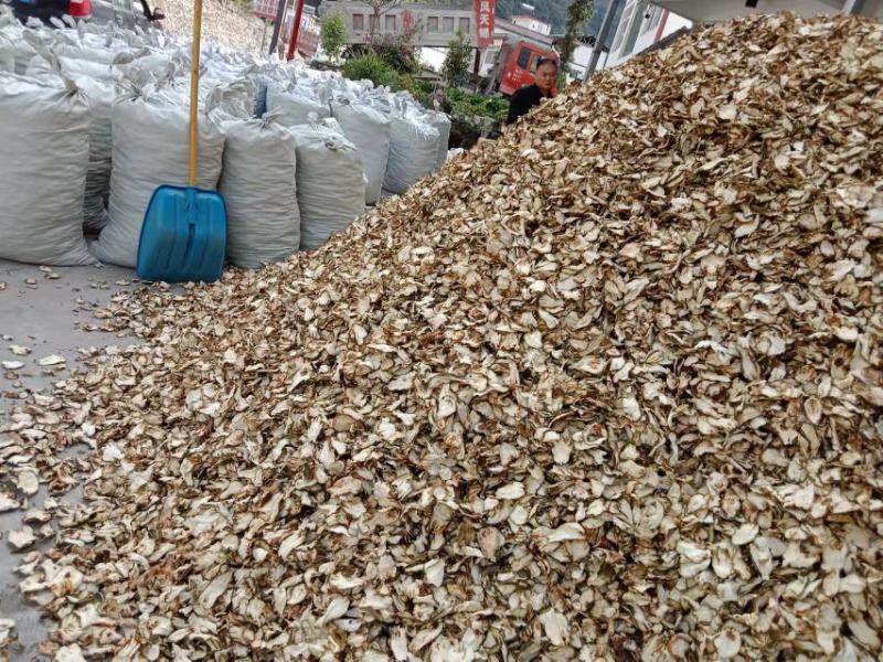 大量出售川佛手干片质量保证一手货源