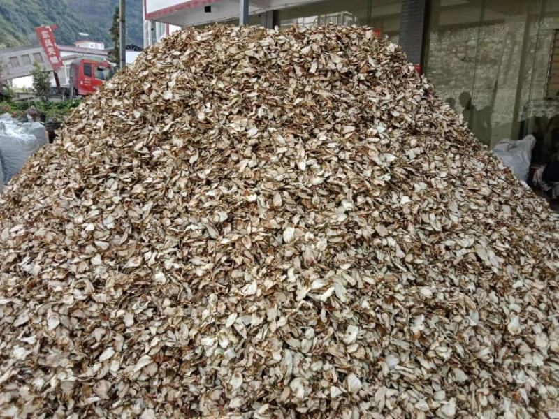 大量出售川佛手干片质量保证一手货源
