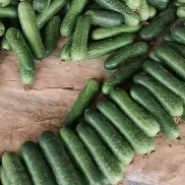 货源充足